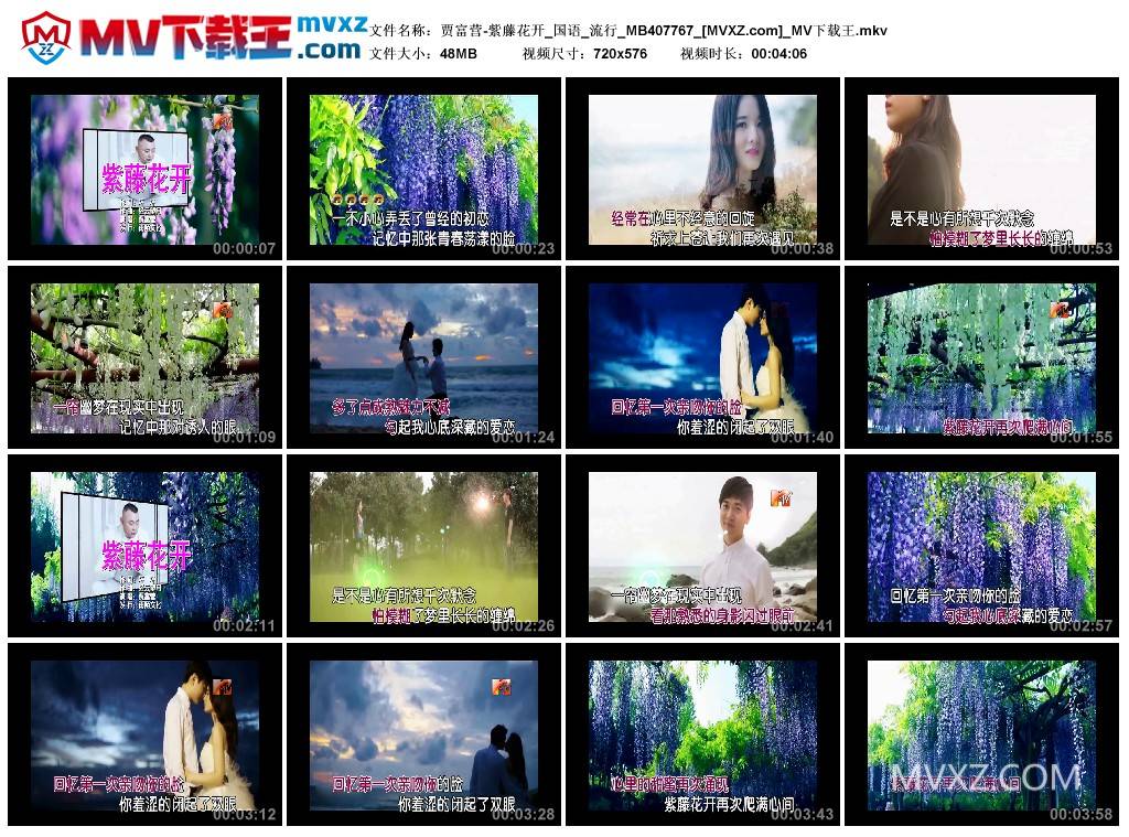 贾富营-紫藤花开_国语_流行_MB407767